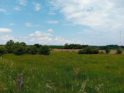 20240529_131400.jpg