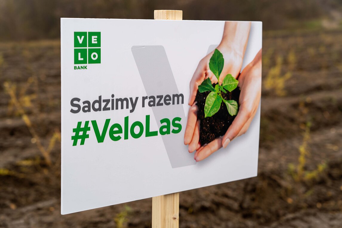 Zdjęcie_VeloLas.jpg [337.22 KB]