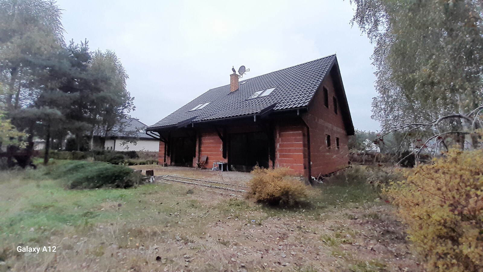 20241007_081748.jpg