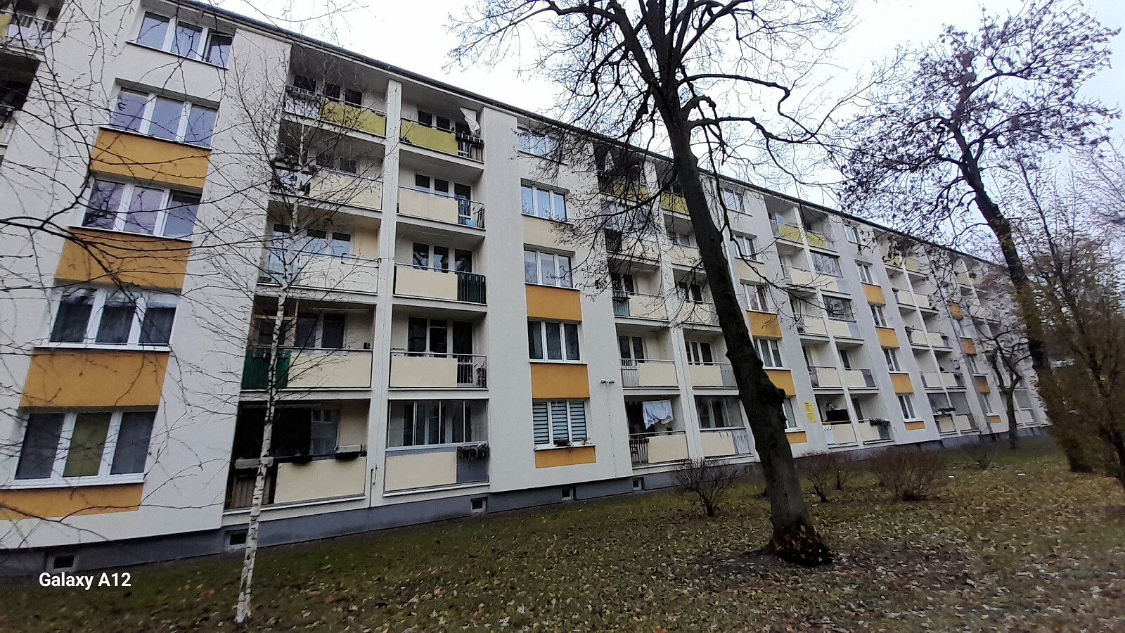 20241129_082341.jpg