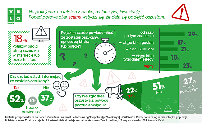 Badanie na temat scamu - inforgrafika.