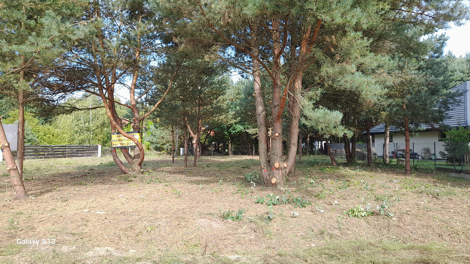 20240823_092612.jpg