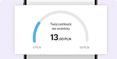Płacę NaRaz - Cashback