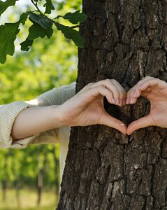 Osoba obejmuje drzewo układając dłonie w kształt serca.